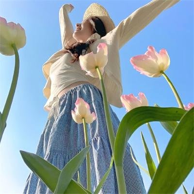美国风情画续集